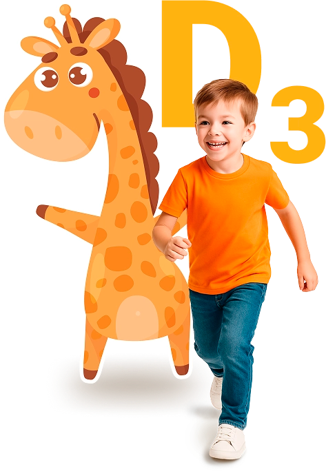 l1
